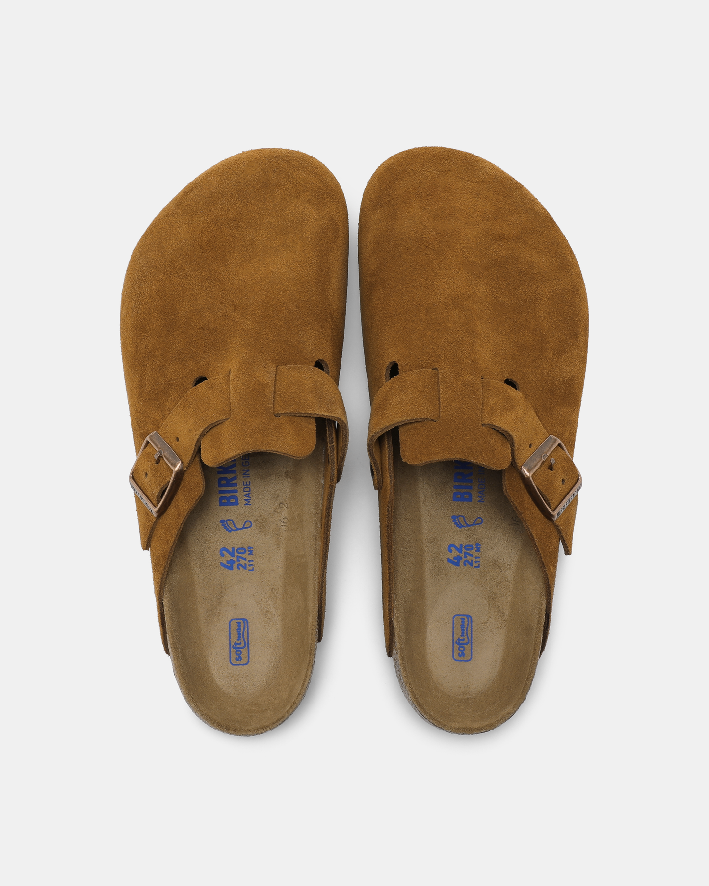 BOSTON VL SFB