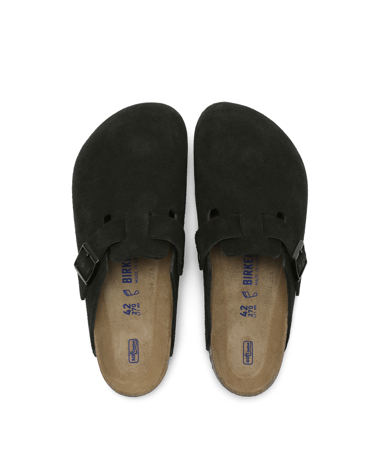 BOSTON VL SFB