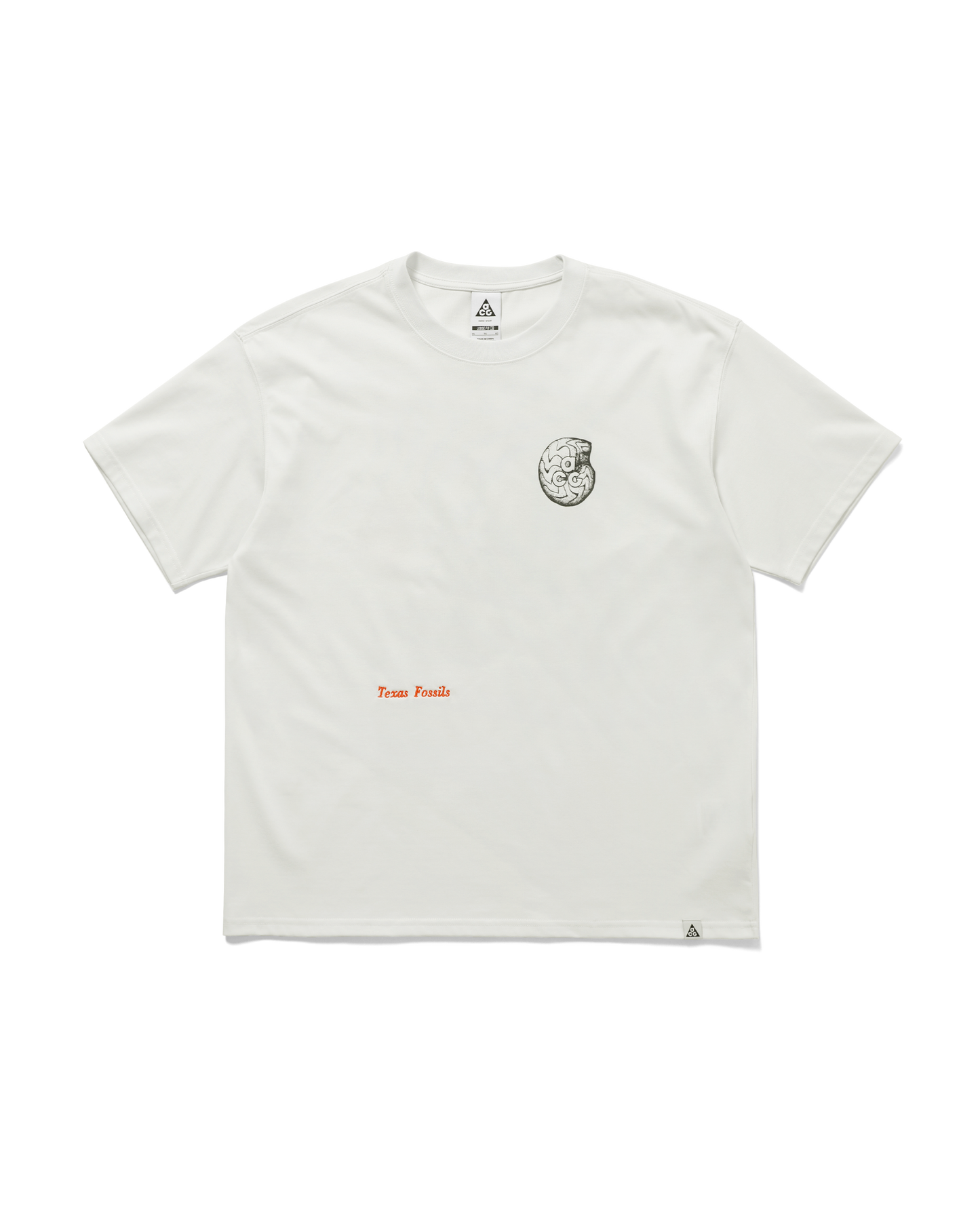 AS M ACG TEE OC FOSSILS