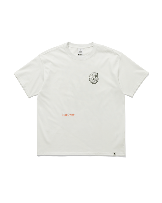 AS M ACG TEE OC FOSSILS