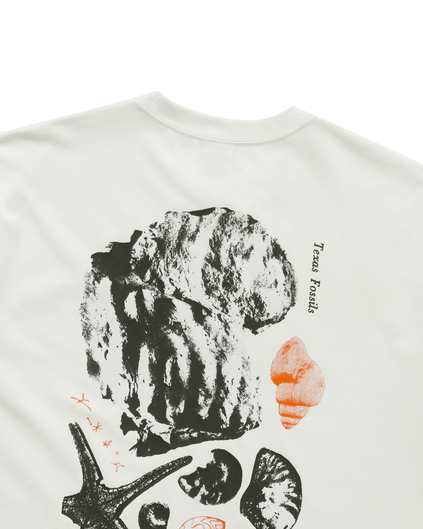 AS M ACG TEE OC FOSSILS