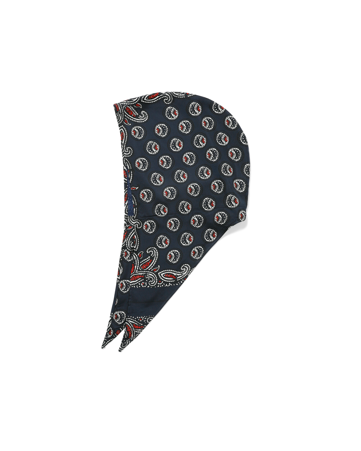 PAISLEY SILK HOODY SCARF